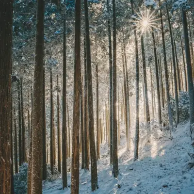 10 plantager på St. Croix med en særlig historie
