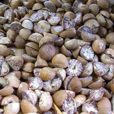 6 krydderiplantager på Grenada som du kan besøge