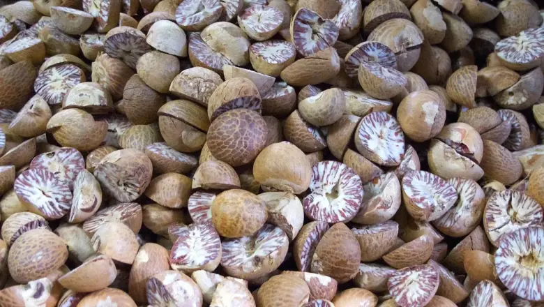 6 krydderiplantager på Grenada som du kan besøge