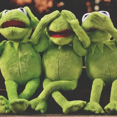 6 råd mod no-see-ums på De Amerikanske Jomfruøer