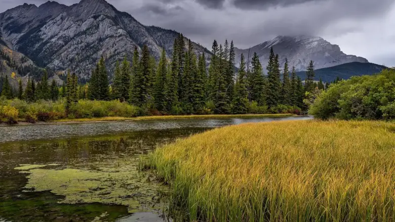 7 regler for droneflyvning i Virgin Islands National Park