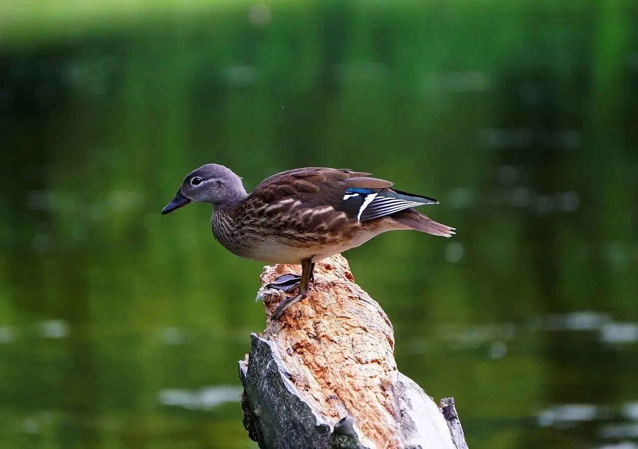 Arbejde svar til krydsord