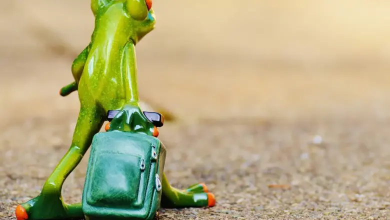 Frø i Krydsord Guide