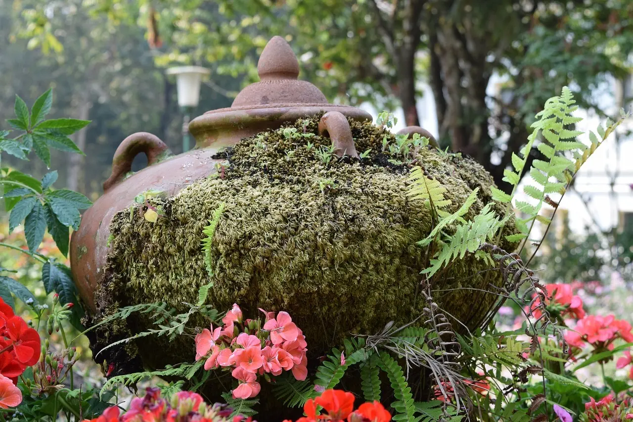 Hvor lå Taíno-bopladserne på St. Croix?