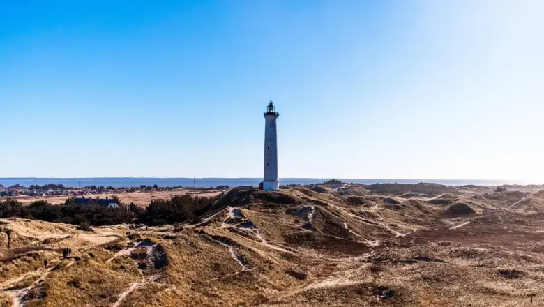 Hvorfor solgte Danmark Dansk Vestindien? Pengene, magten og arven der ændrede skæbner