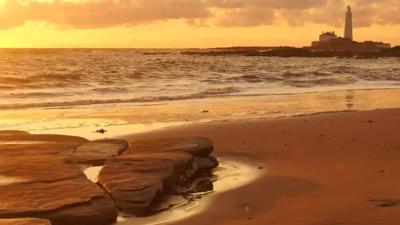 Hvornår er der mindst travlt ved Magens Bay?