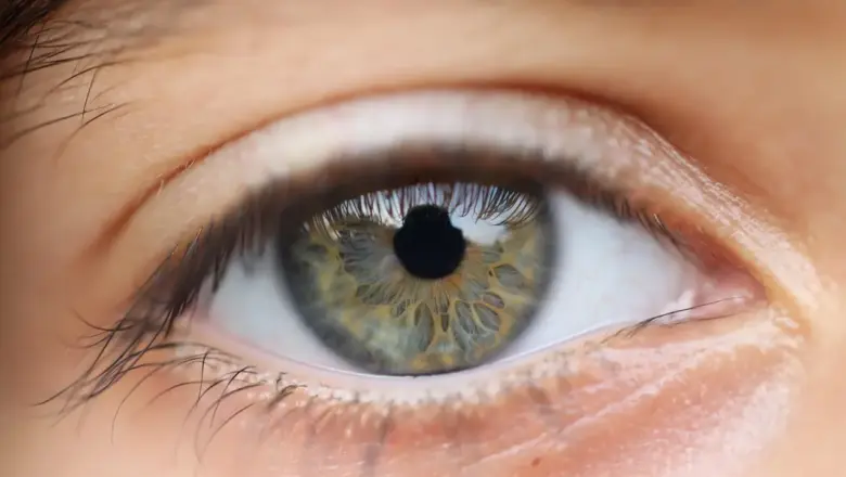 Krydsord Tips til Despot