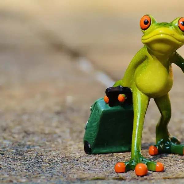 Må jeg tage mad og snacks med i kufferten til USVI?