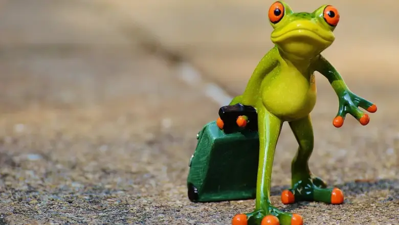 Må jeg tage mad og snacks med i kufferten til USVI?