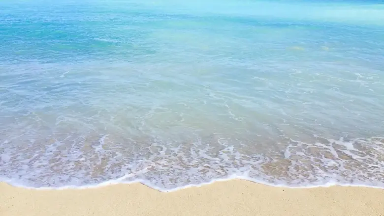 Medvirkende i Hawaii Five-0