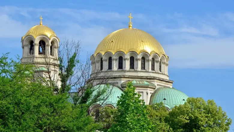 Medvirkende i The Legend Of Tarzan