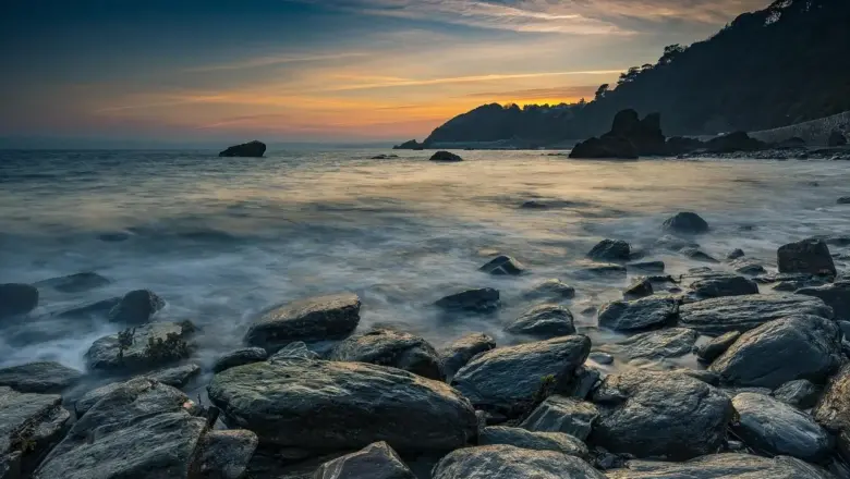 Sådan undgår du sargassotang på din rejse til USVI