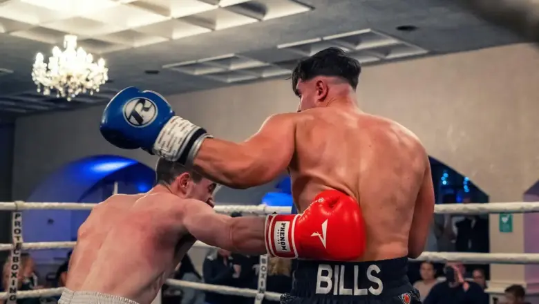 Slog – løsning til dit krydsord