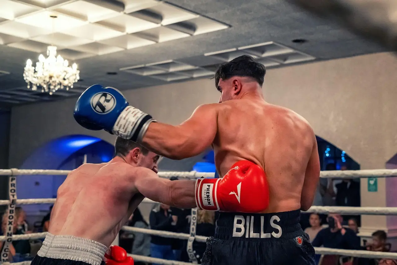 Slog – løsning til dit krydsord