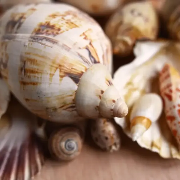 Street food i Charlotte Amalie: smag lokalt på én dag