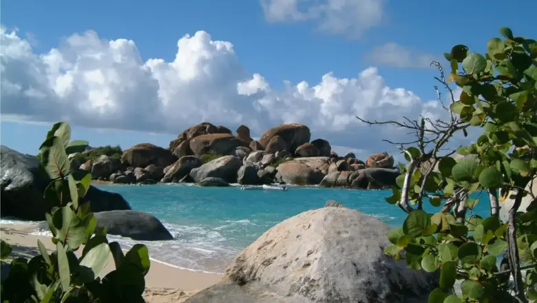 Svarliste til Grupper Krydsord