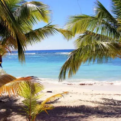 Vandretur til Boiling Lake på Dominica: en guide